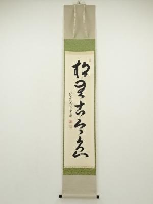 大徳寺　小堀卓巌筆　「松無古今色」一行書　肉筆紙本掛軸（共箱）